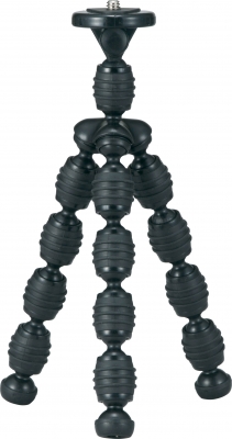 Related Product