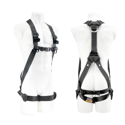 Related Product