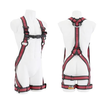 Related Product Image