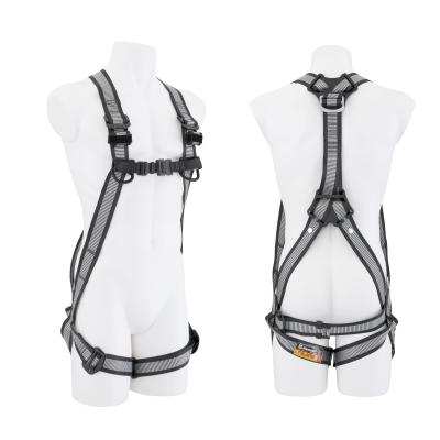 Related Product