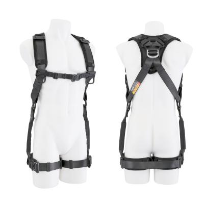 Related Product