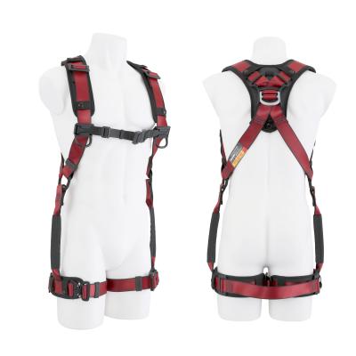 Related Product