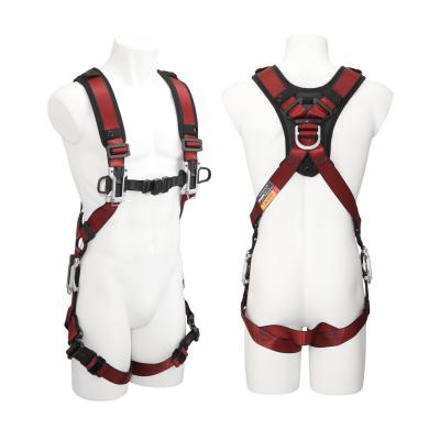 Related Product