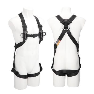 Related Product