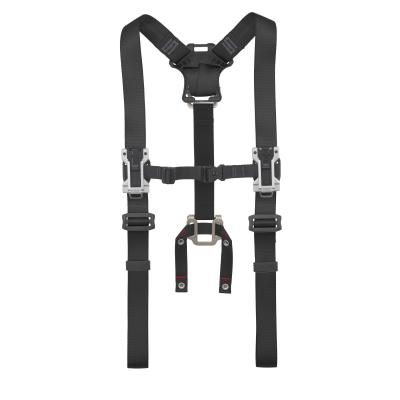 Related Product