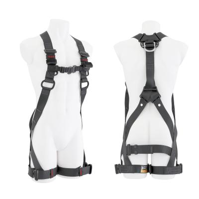 Related Product