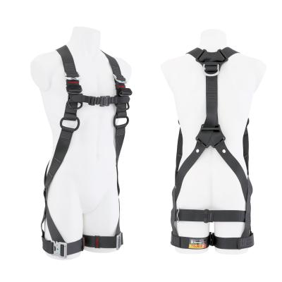 Related Product
