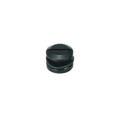Related Product