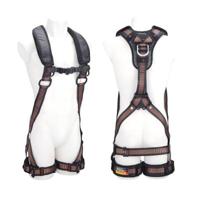Related Product Image
