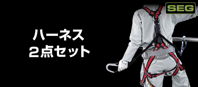 ハーネス2点セット