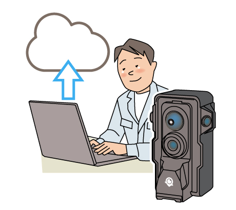アップロード無制限